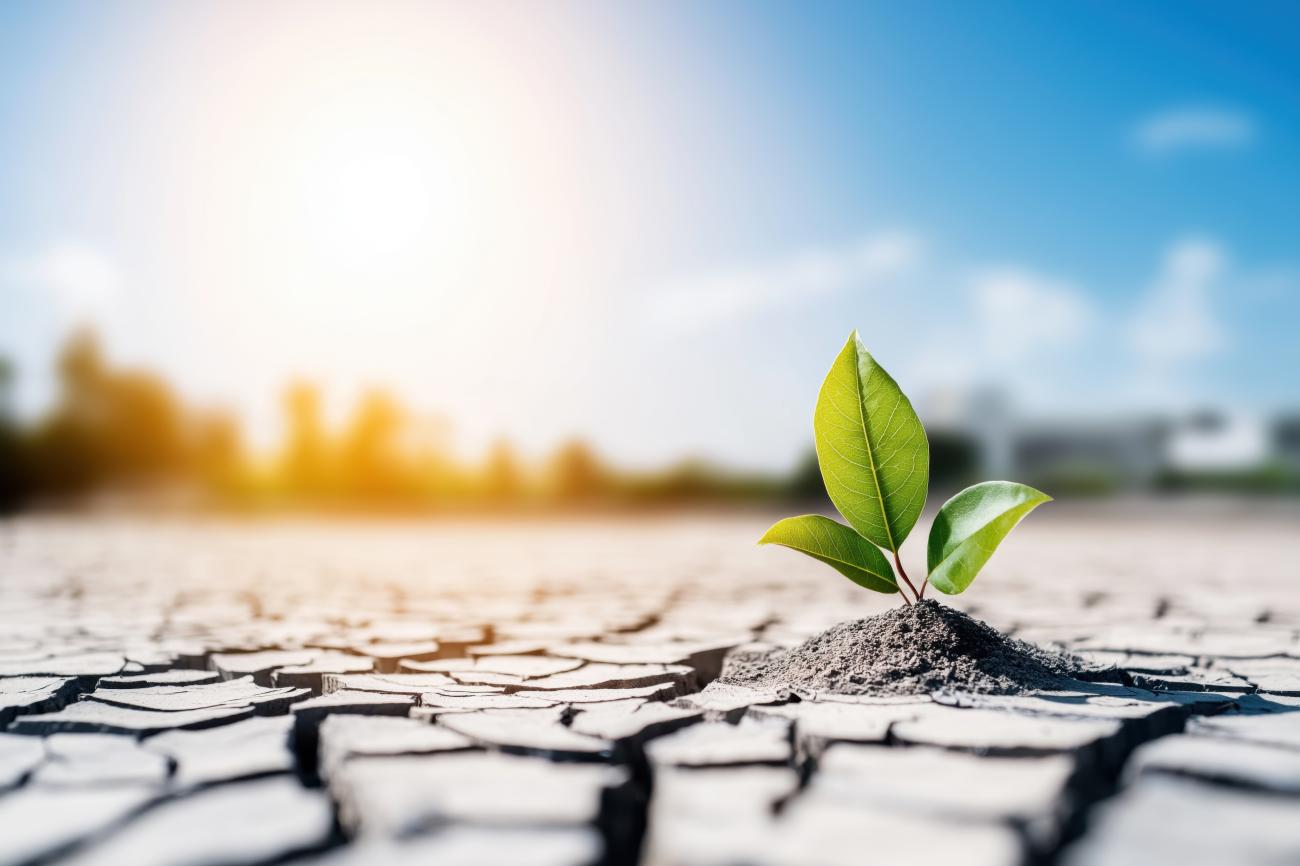 Ndryshimet në ligjin për klimën  si do të bëhet përshtatja nga kërkimi shkencor te financimi