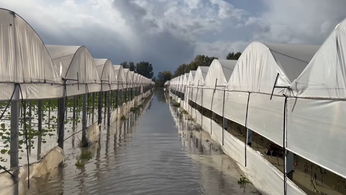 Fermerët e Goriçanit përmbyten për të katërtën herë nga energjia e pastër